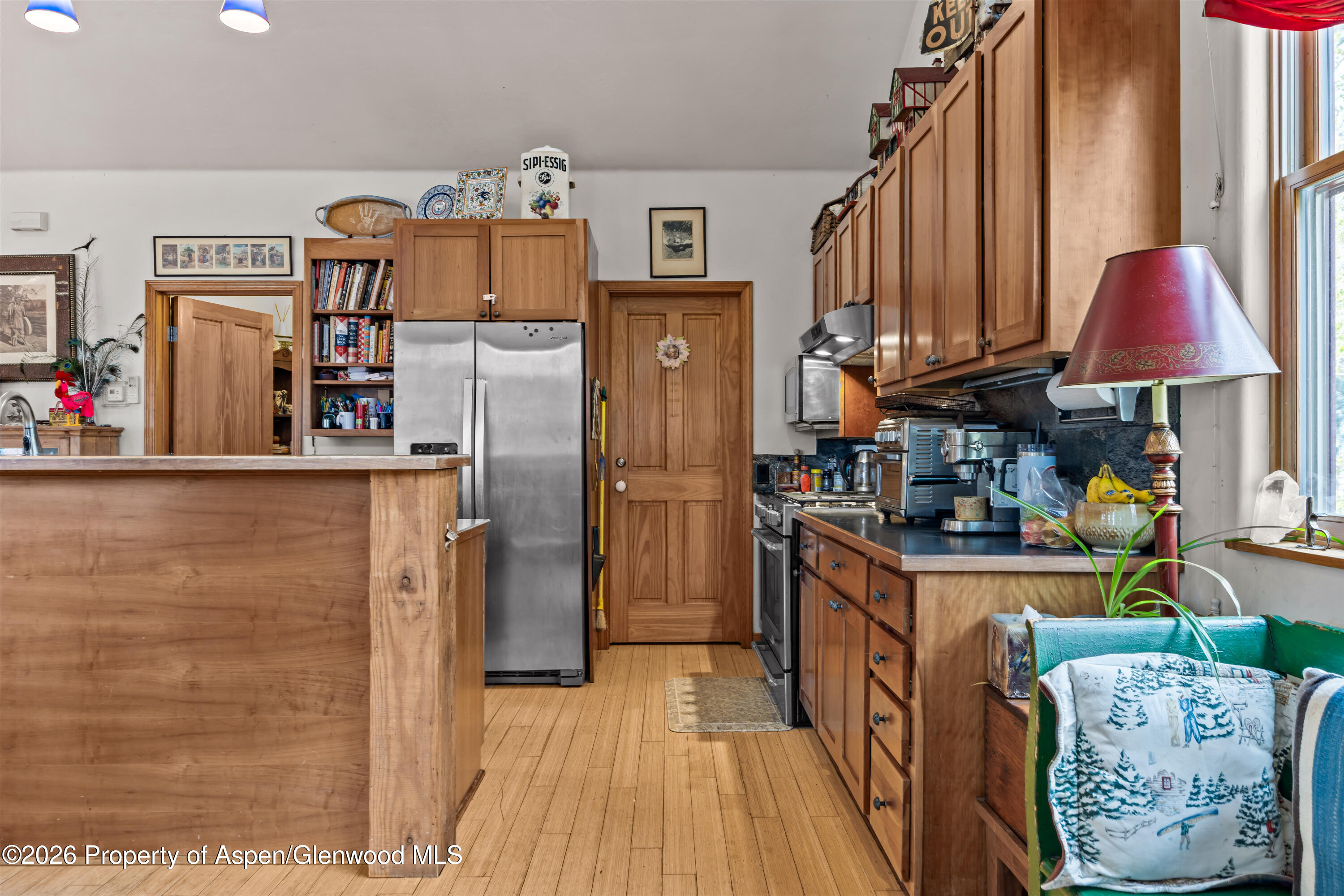 307 E Sopris Drive