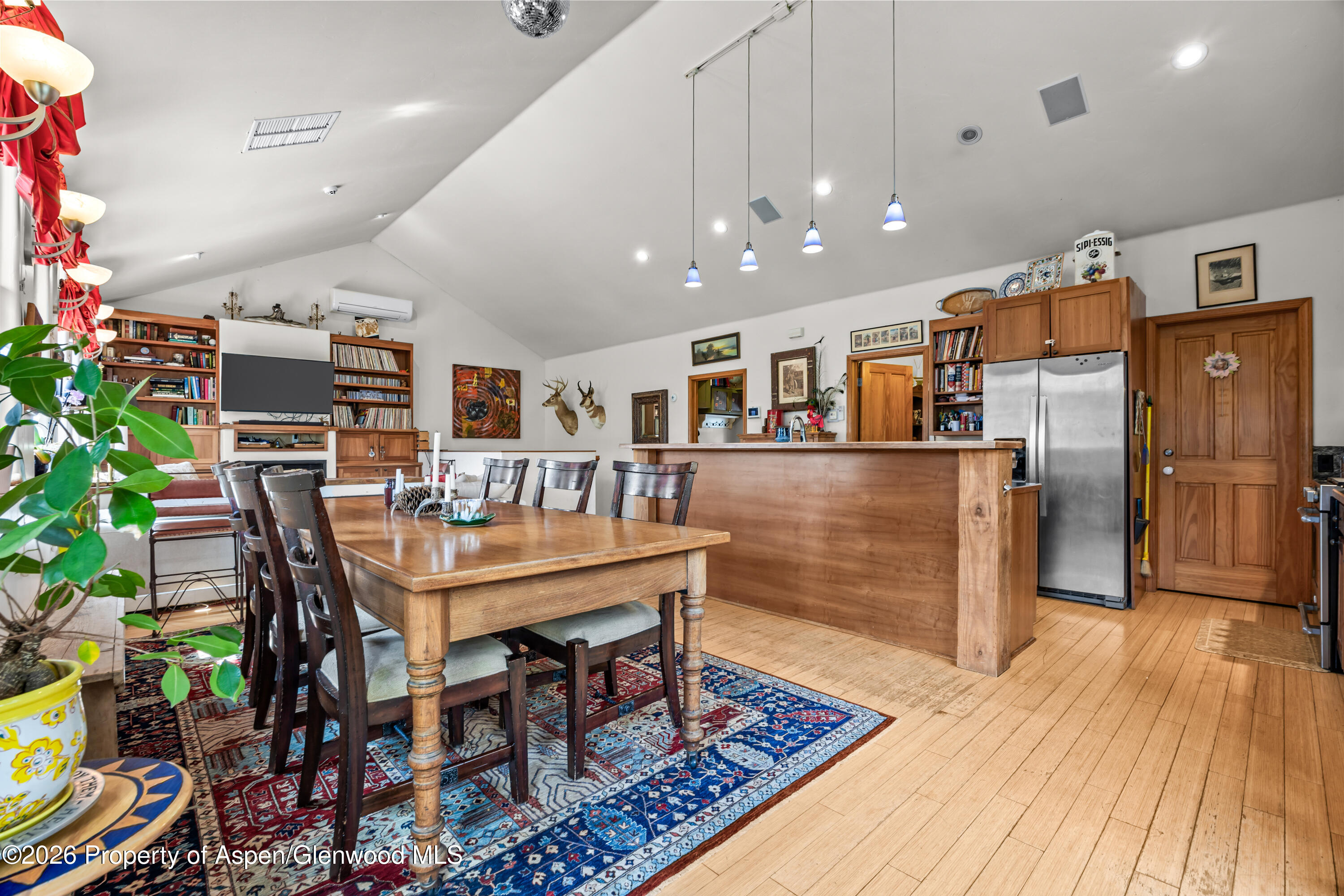 307 E Sopris Drive