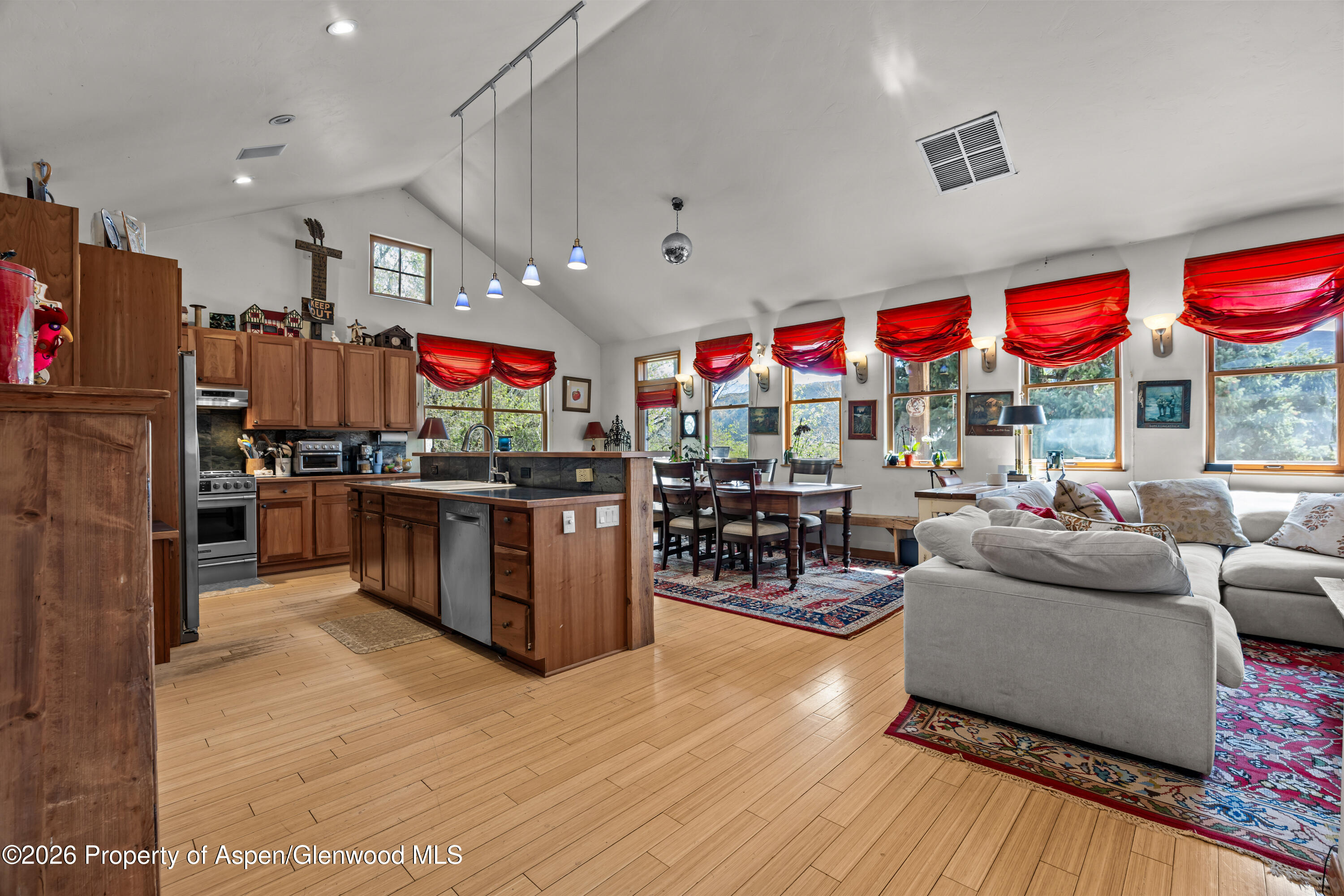 307 E Sopris Drive