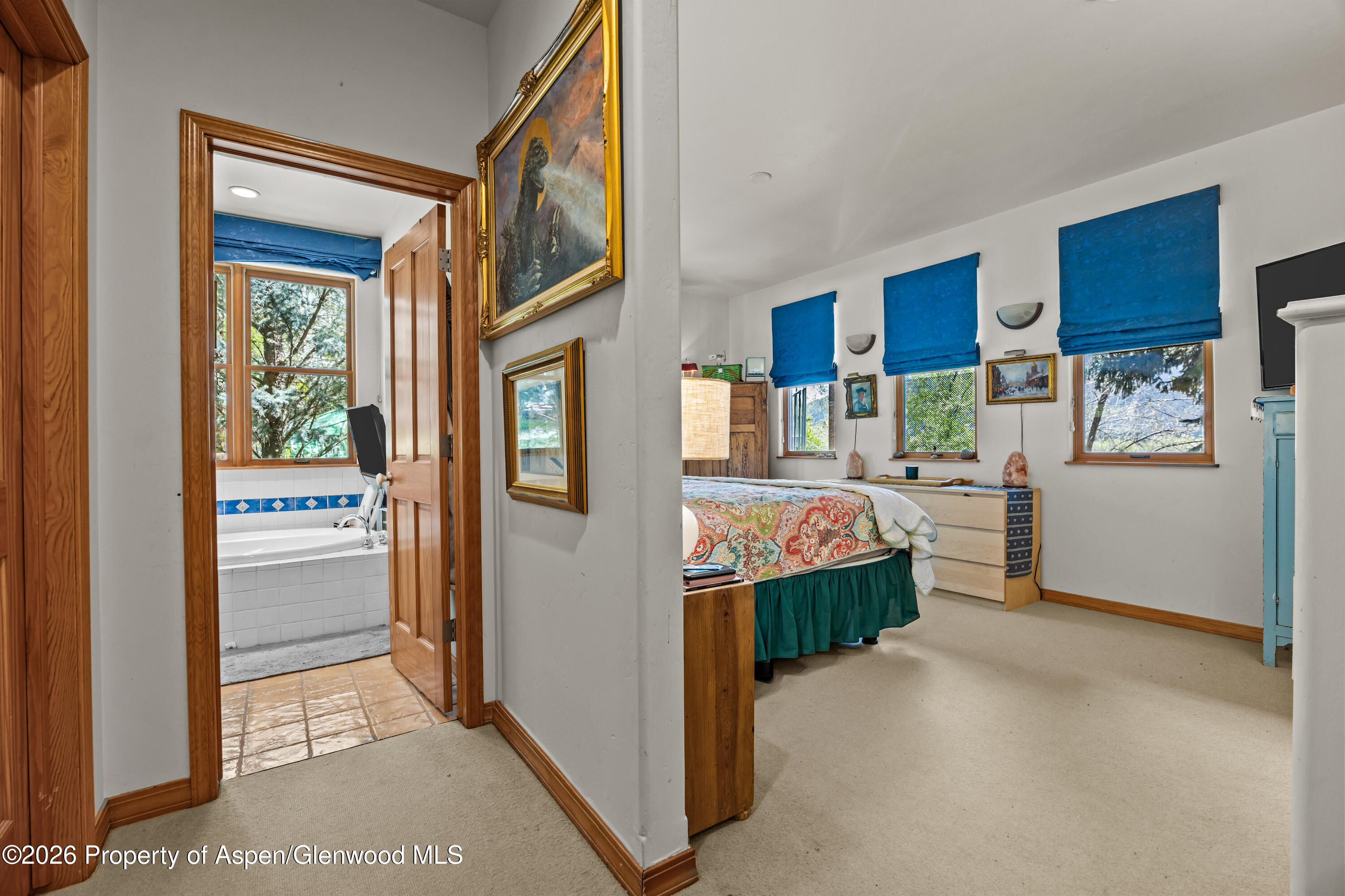 307 E Sopris Drive