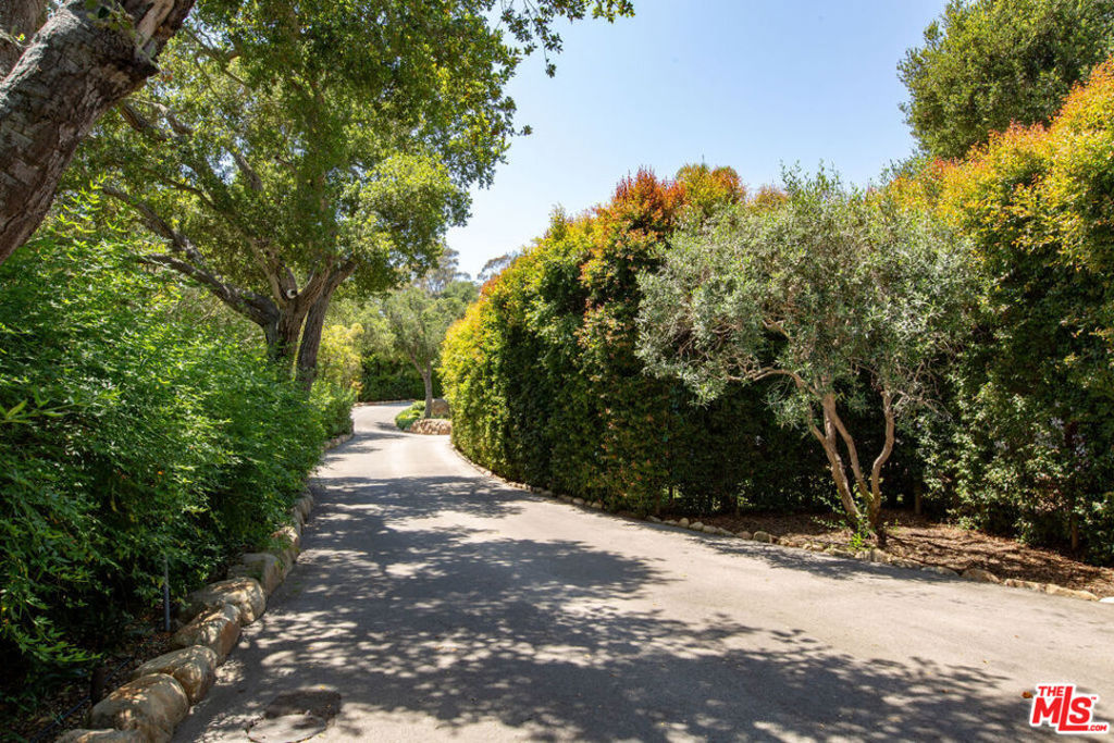 Paved driveway curving between mature trees and dense hedges.