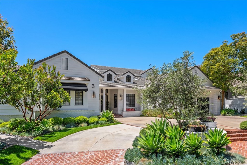 3 Canada Oaks
