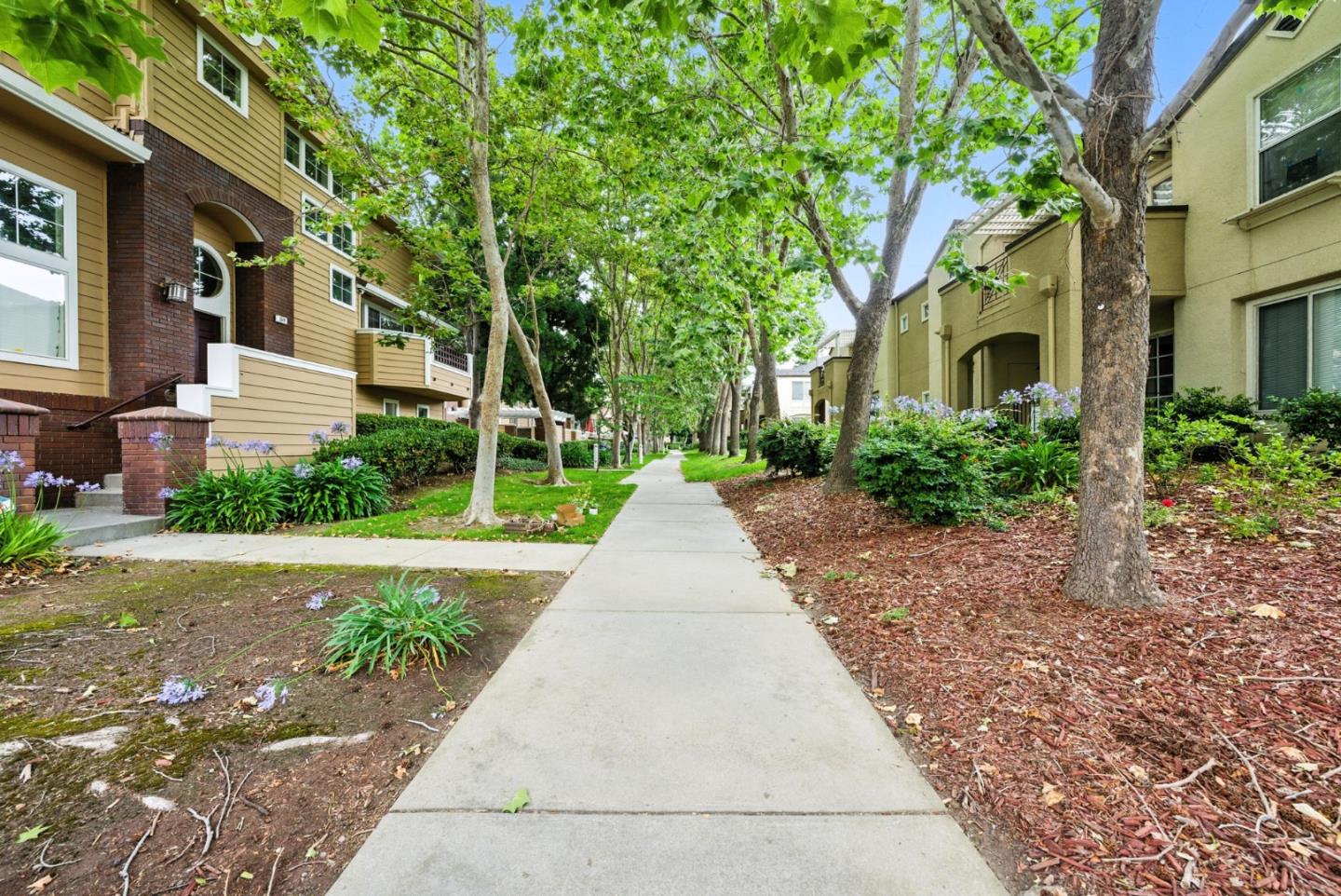 634 Celebration Court