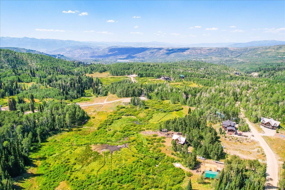 4443 Buck Way