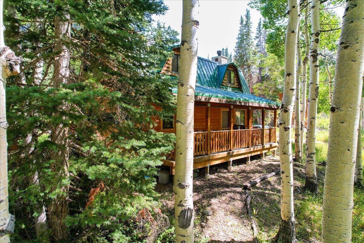 4443 Buck Way