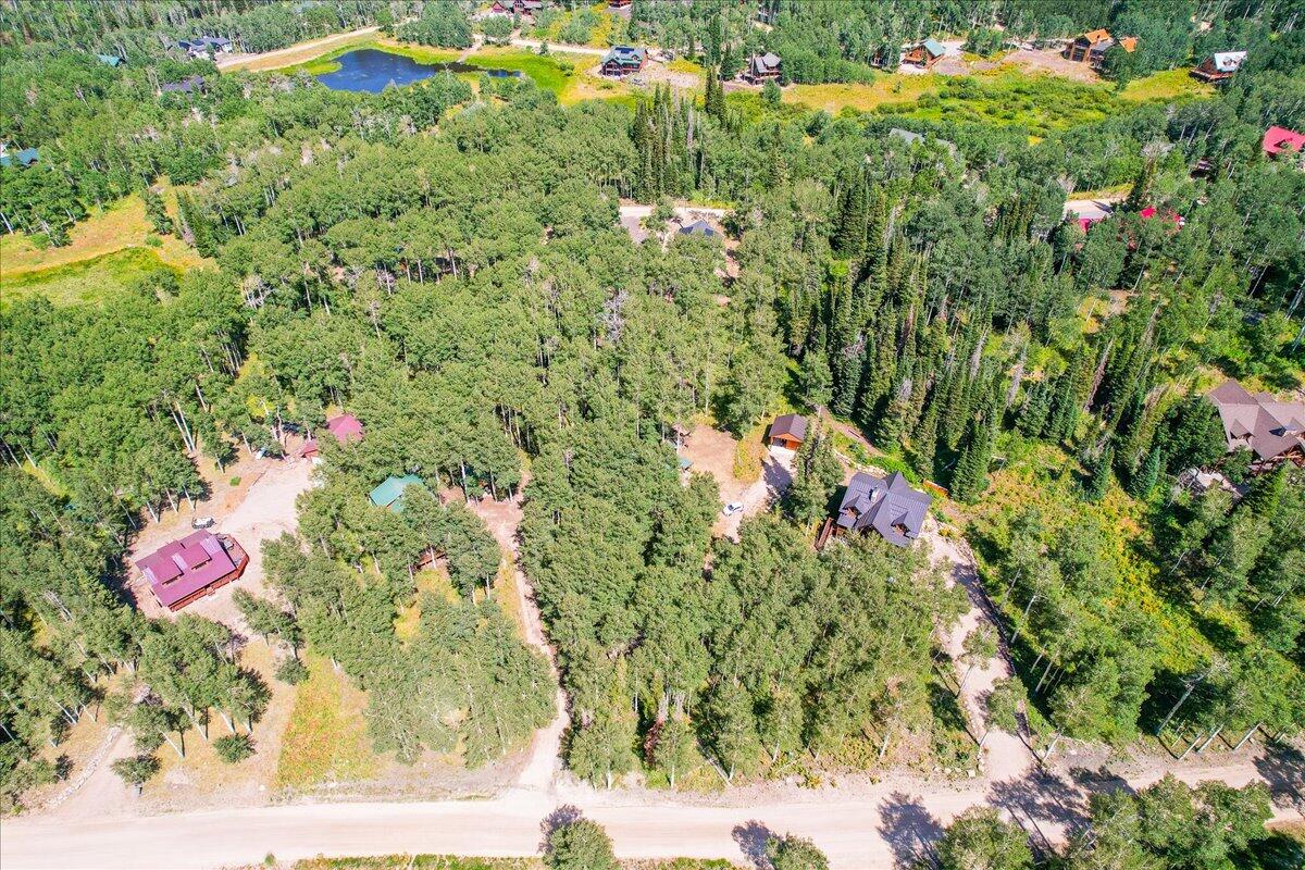 4443 Buck Way