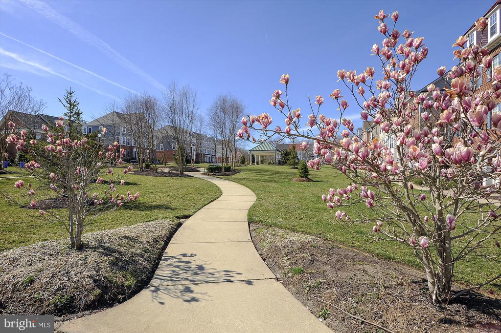 320 BUCKEYE CIR