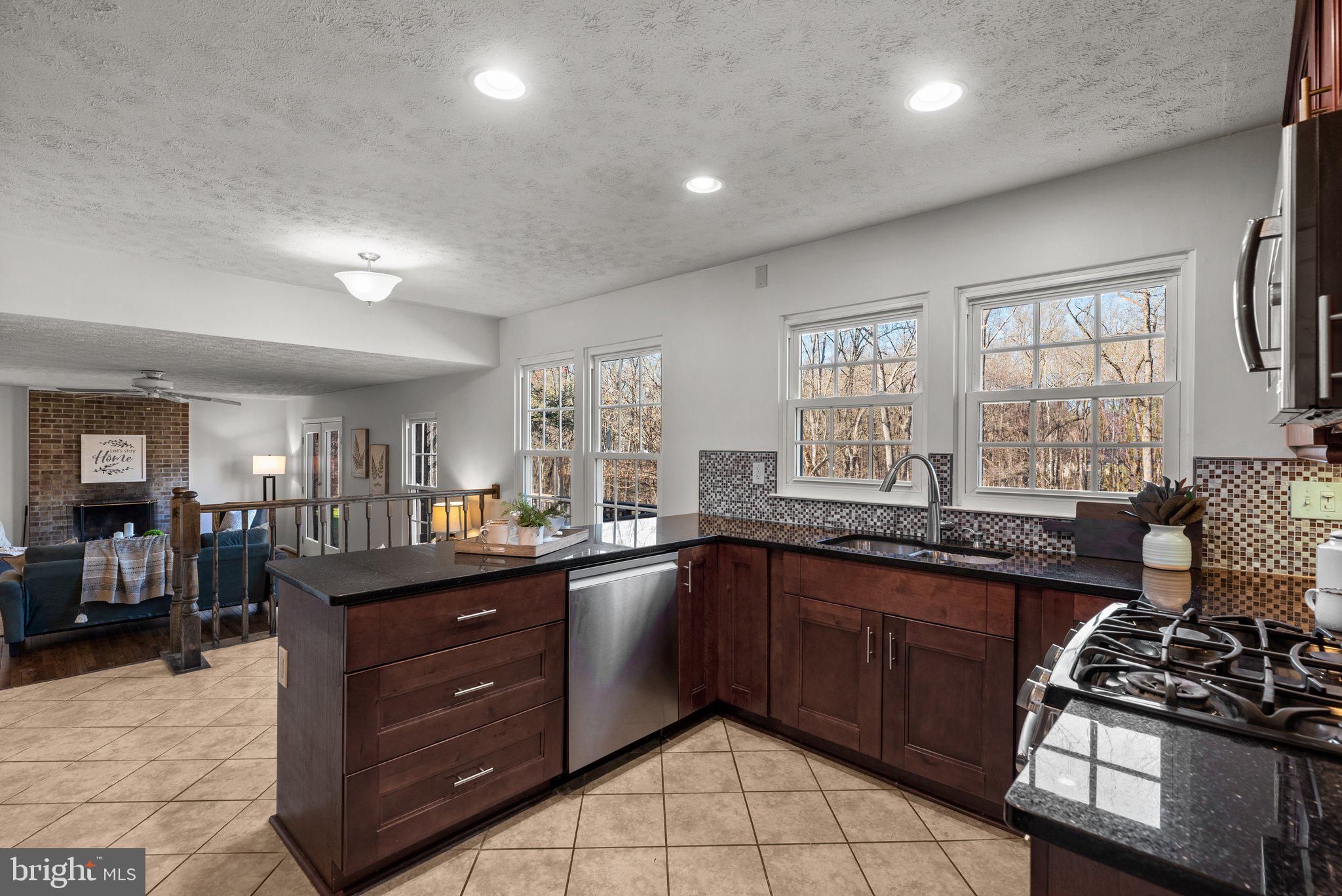 14156 Saddle River Dr
