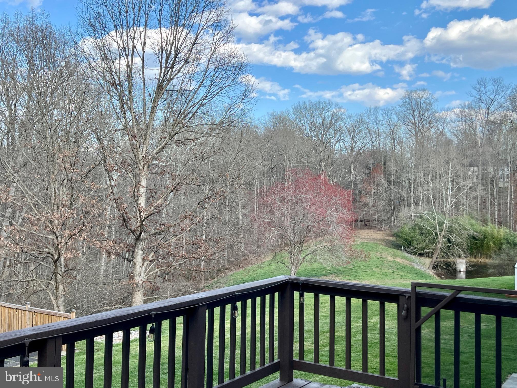14156 Saddle River Dr
