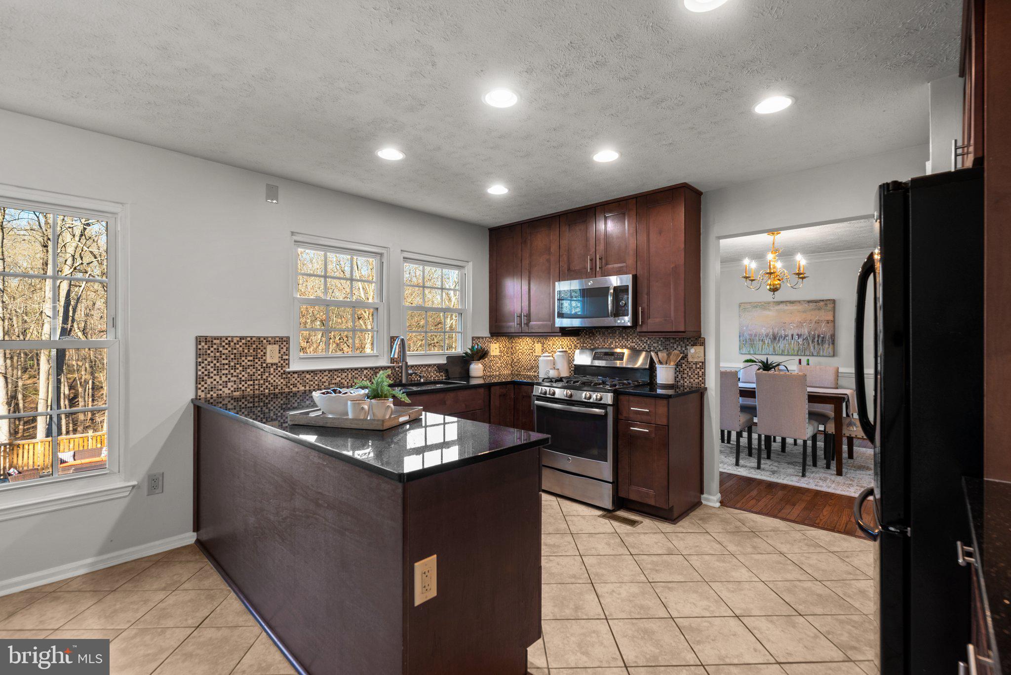 14156 Saddle River Dr