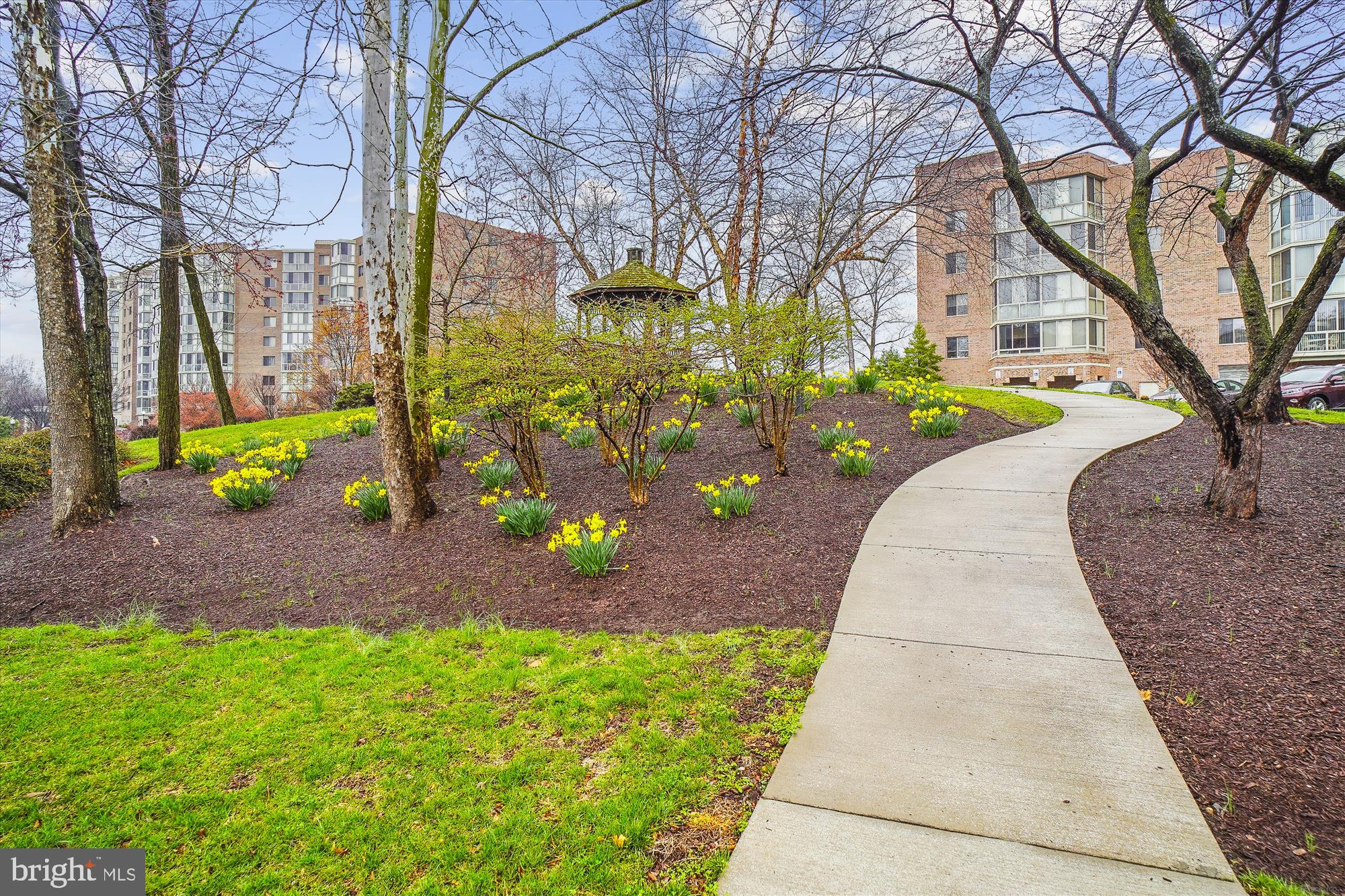 3005 S Leisure World Blvd #717