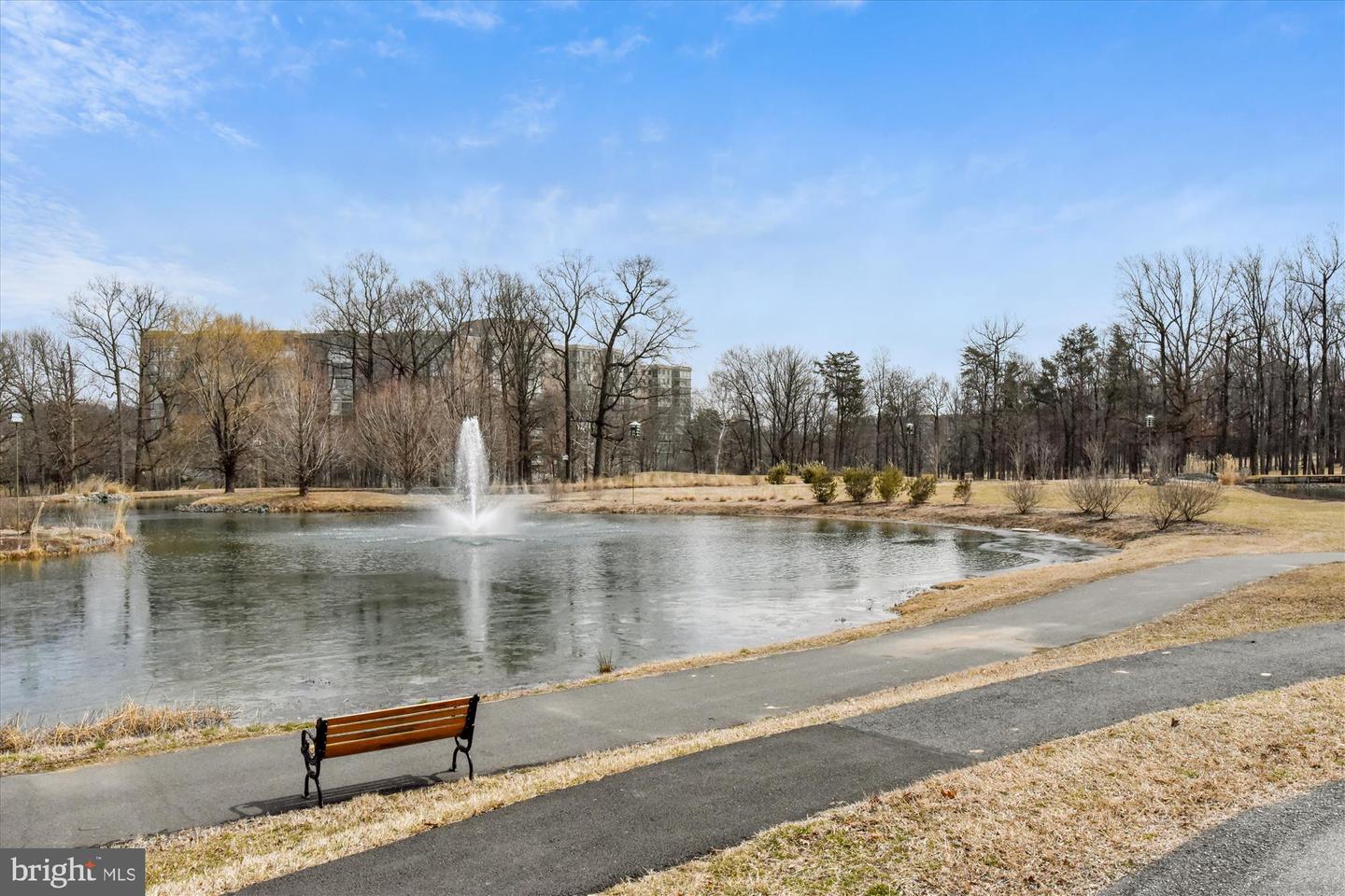 3005 S Leisure World Blvd #717