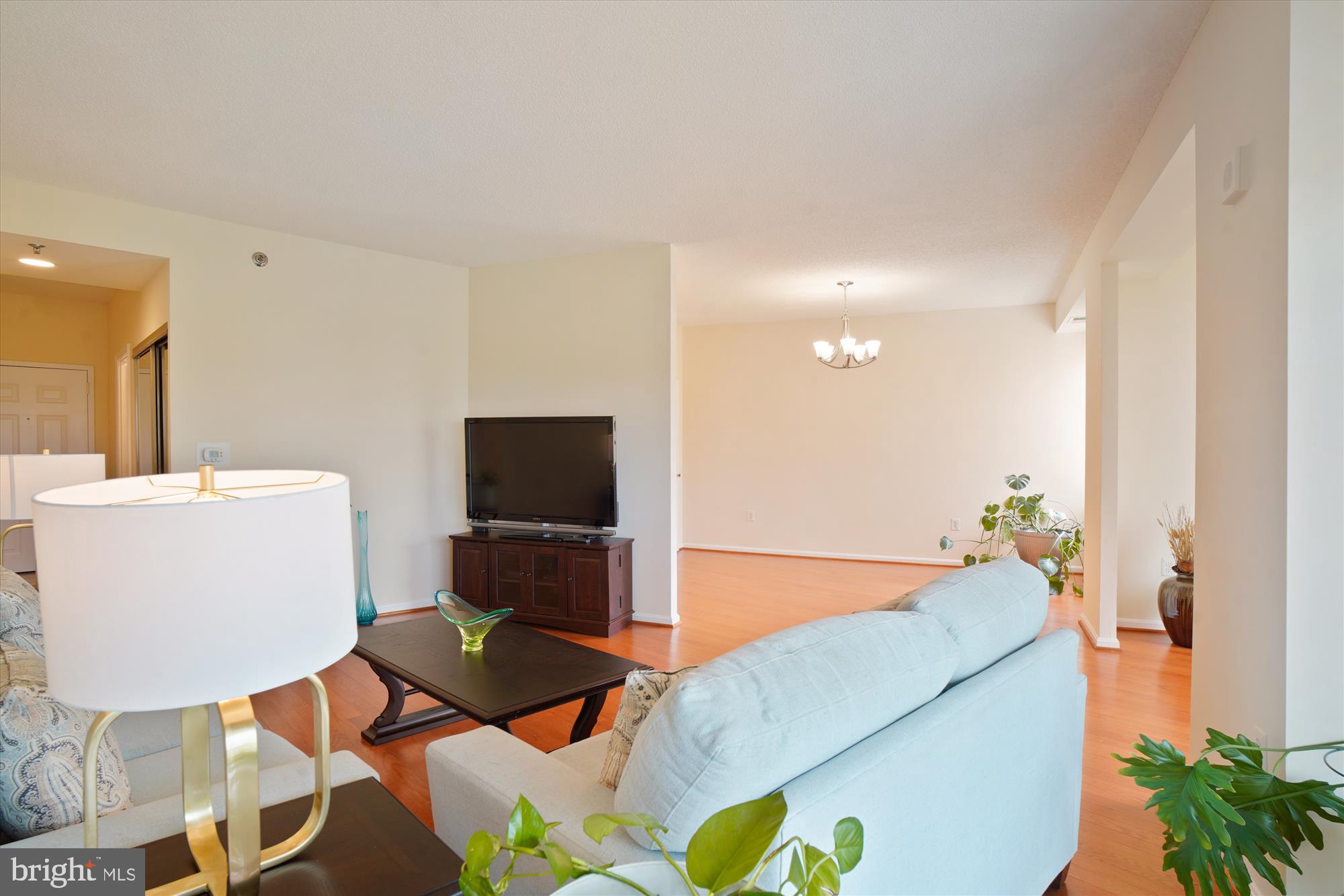 3005 S Leisure World Blvd #717