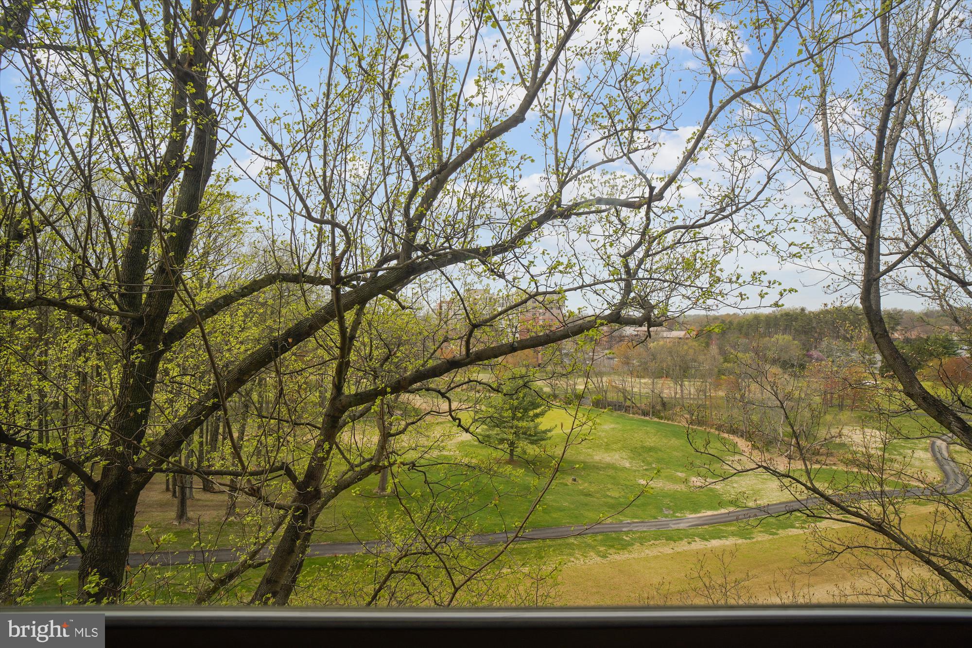 3005 S Leisure World Blvd #717