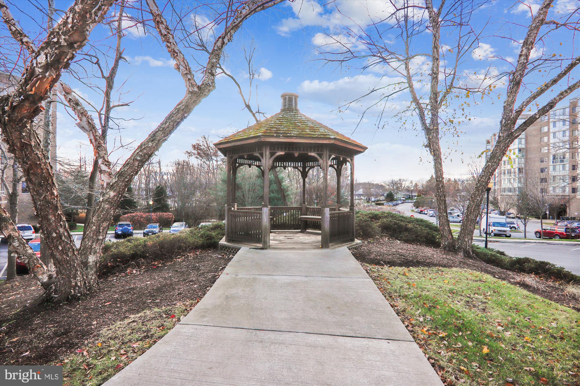 3005 S Leisure World Blvd #717