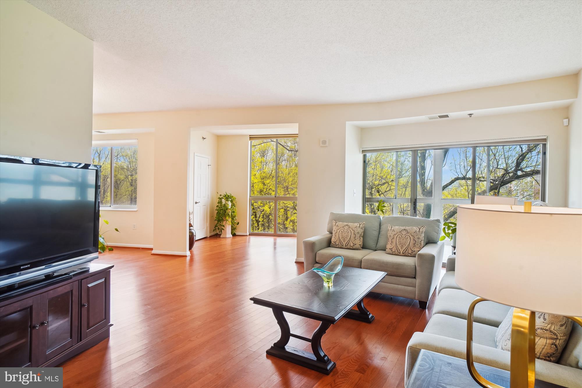 3005 S Leisure World Blvd #717