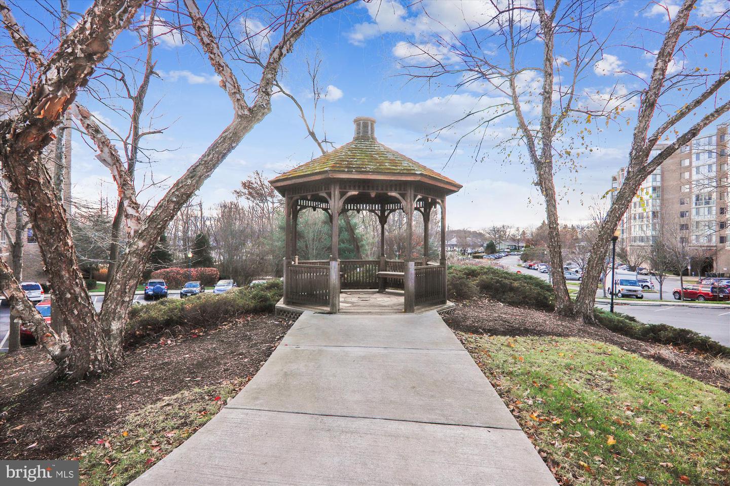 3005 S Leisure World Blvd #717