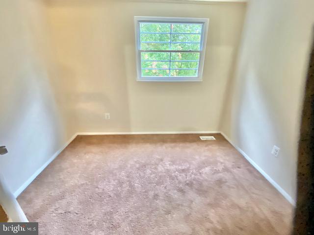 10334 APPLE RIDGE RD