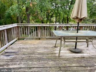 10334 APPLE RIDGE RD