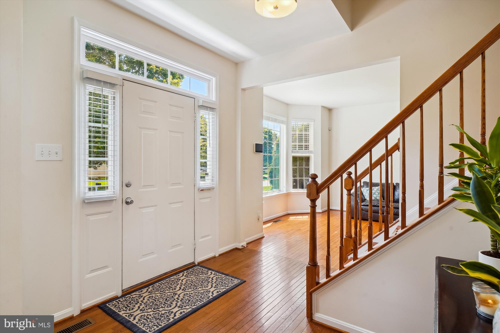 13736 Monarch Vista Dr