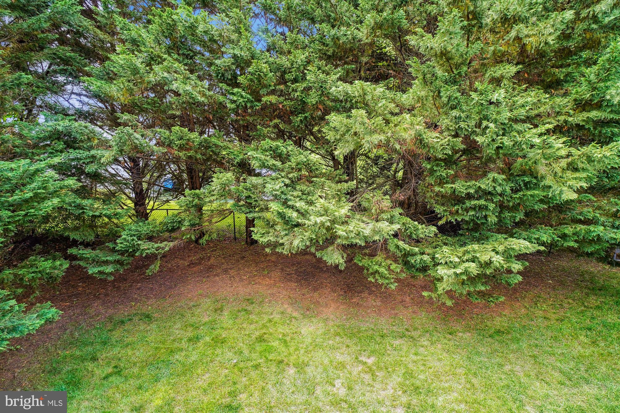 13736 Monarch Vista Dr