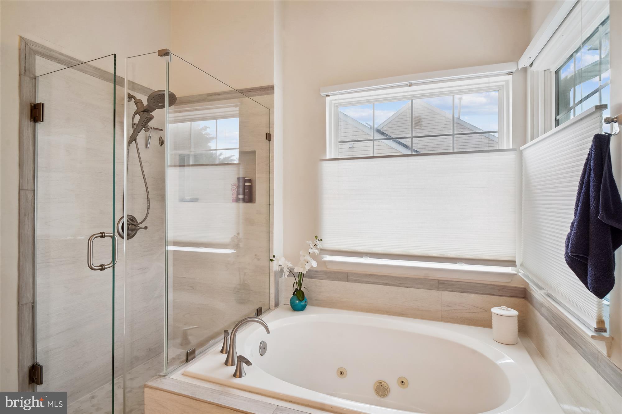 13736 Monarch Vista Dr