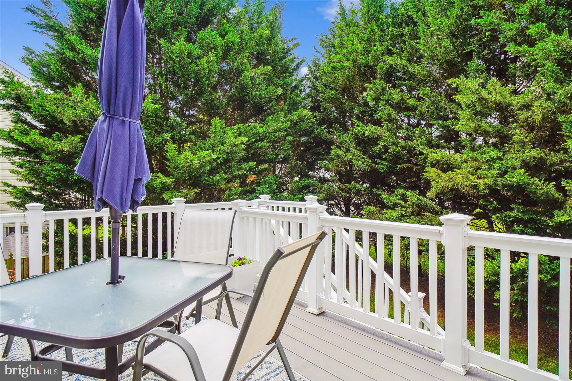 13736 Monarch Vista Dr