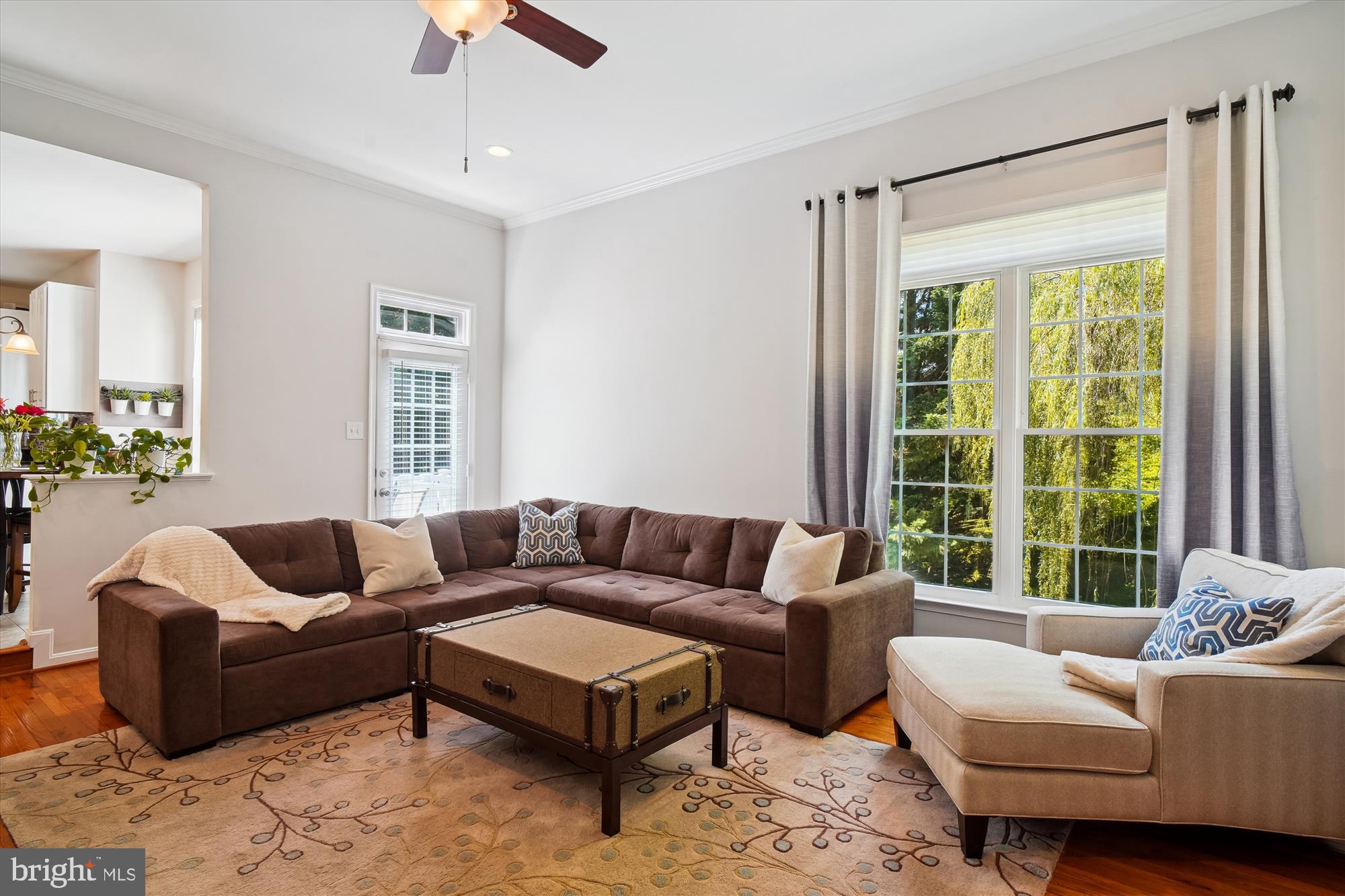 13736 Monarch Vista Dr