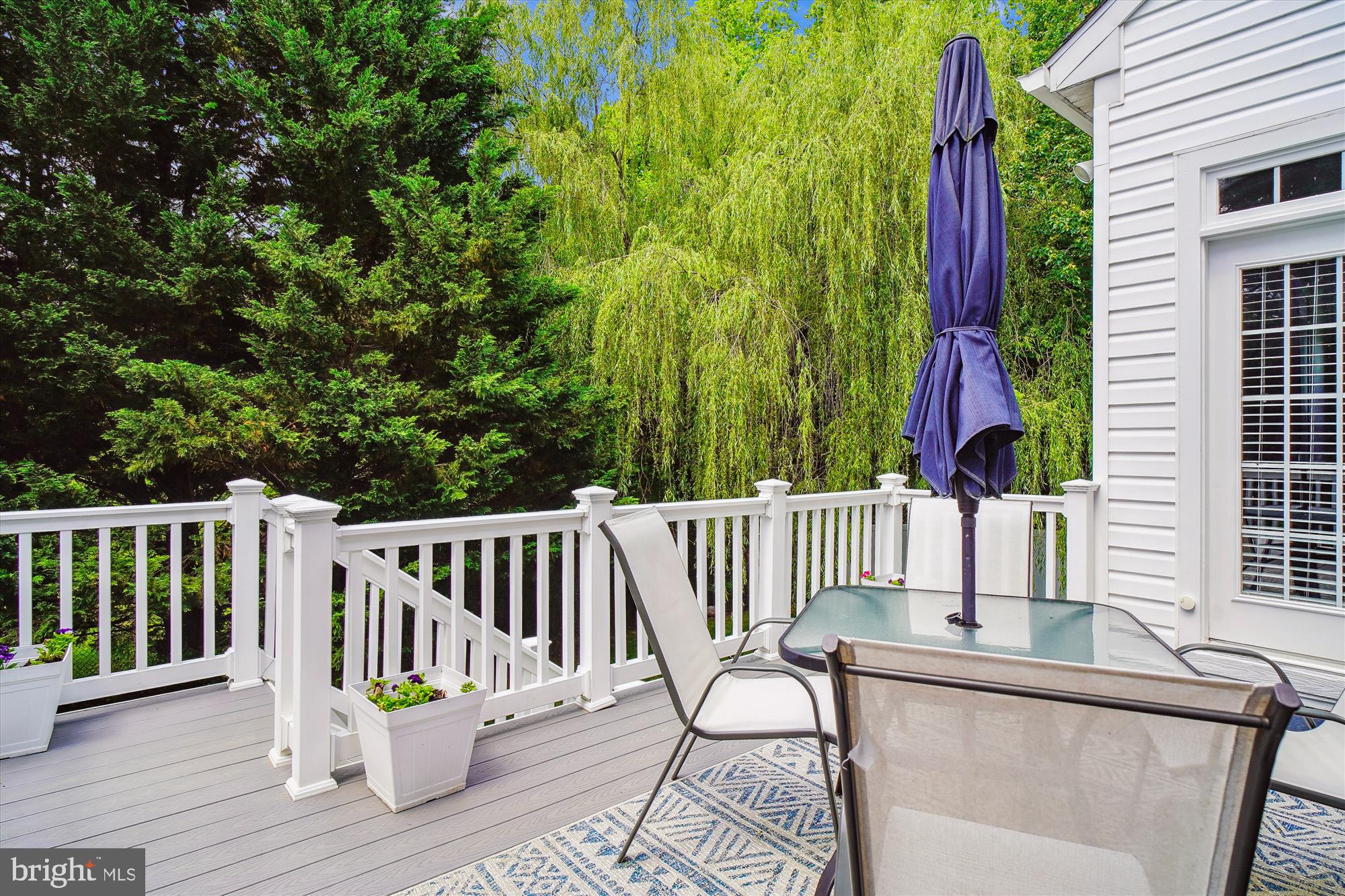 13736 Monarch Vista Dr