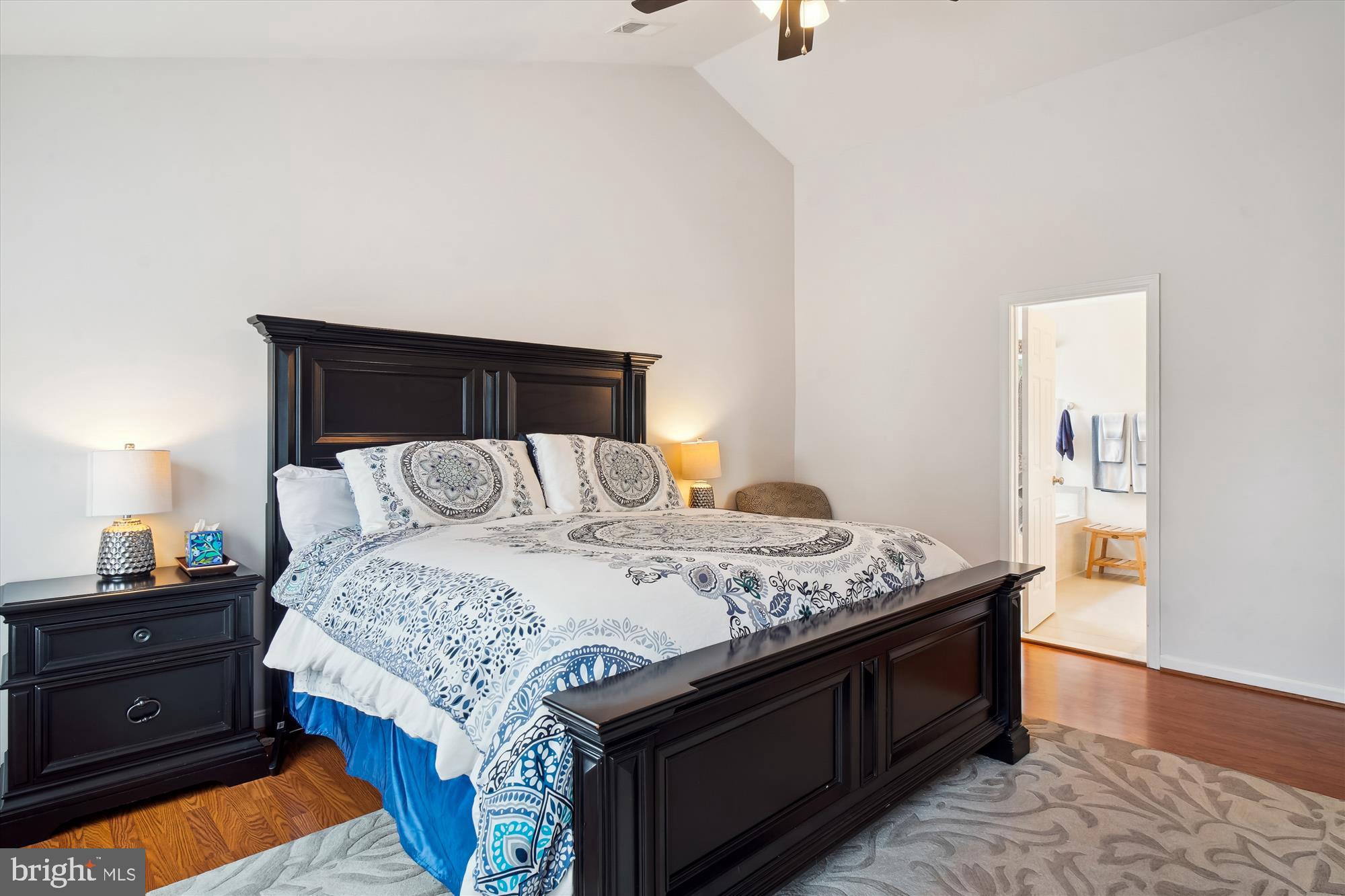 13736 Monarch Vista Dr