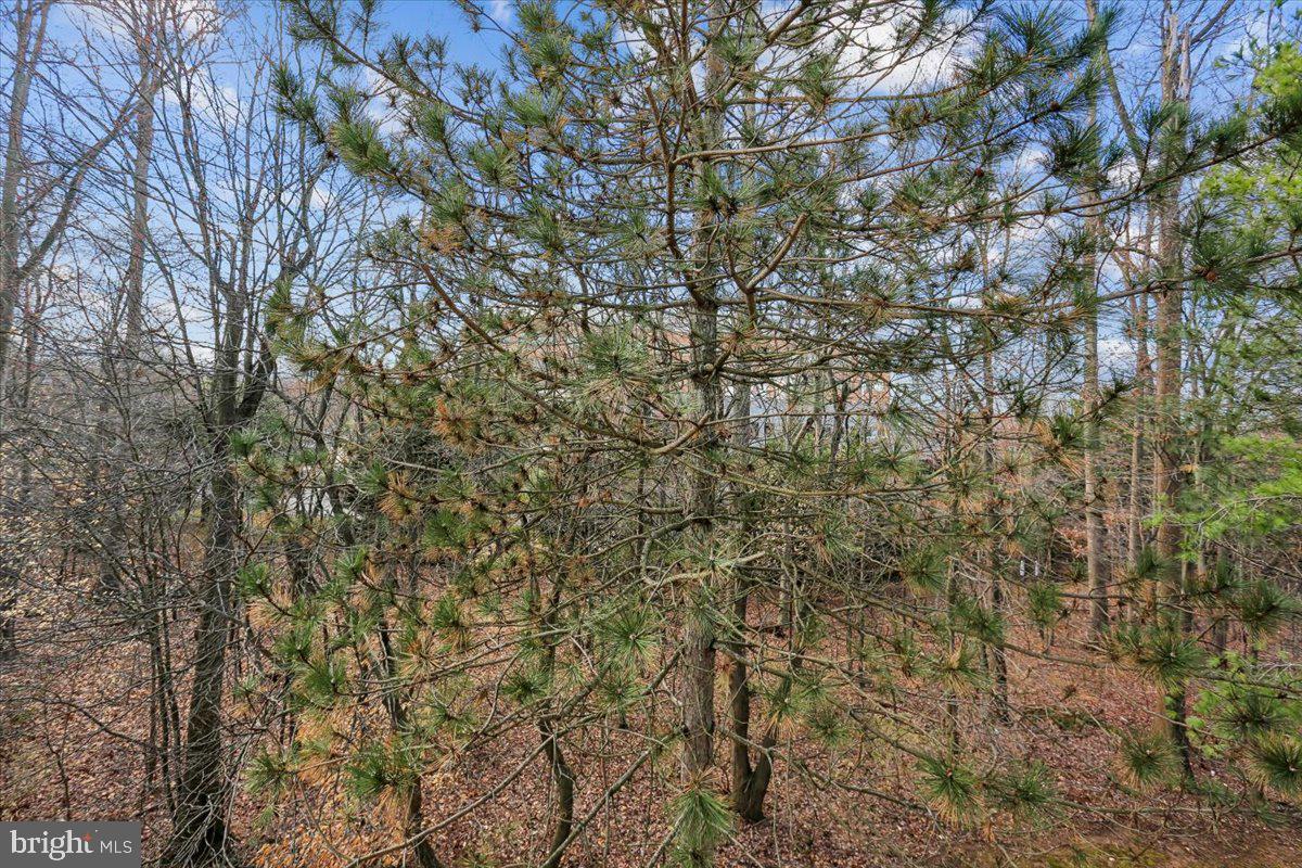 12708 FOUND STONE ROAD 3-102