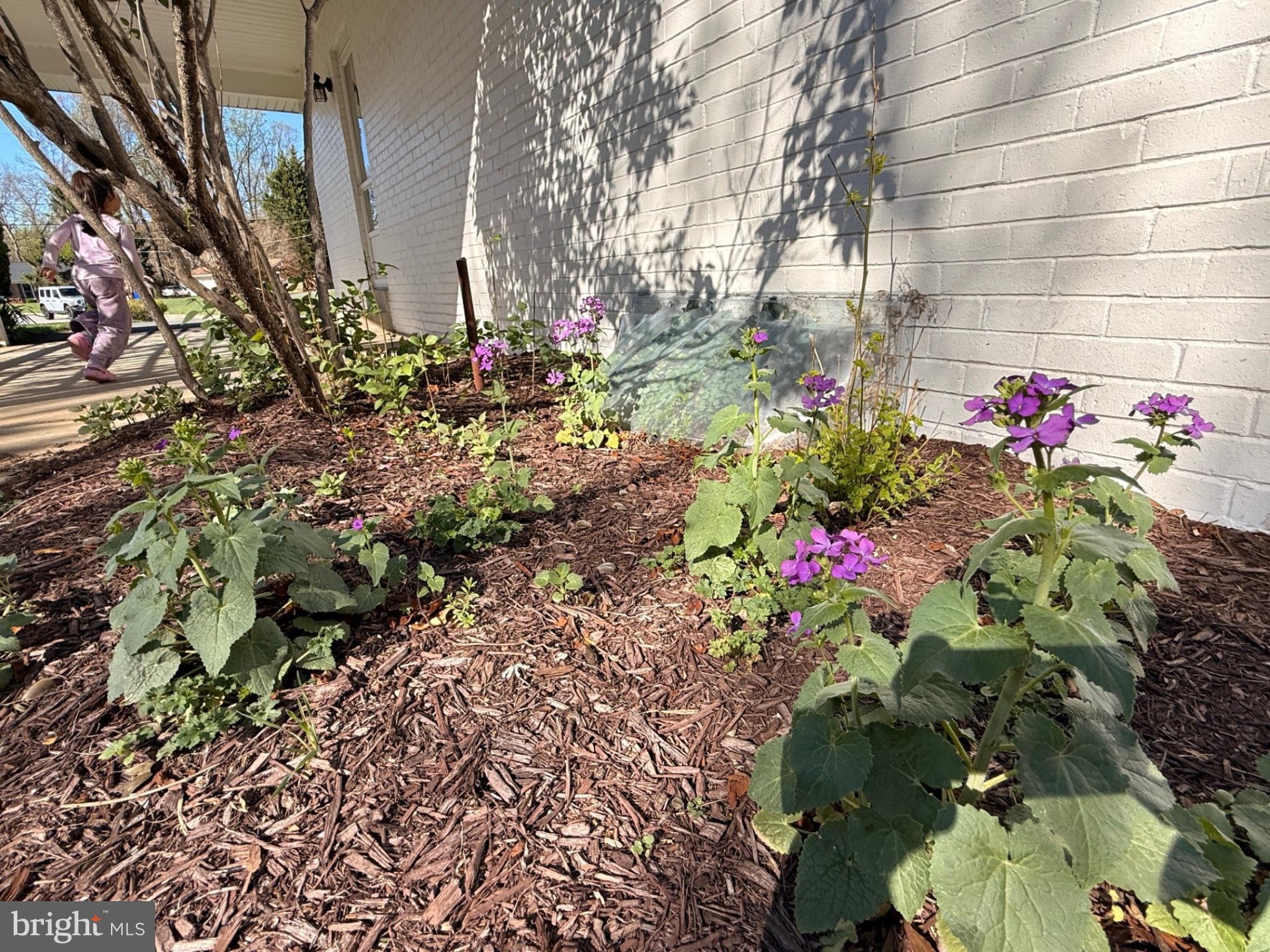 16725 FRONTENAC TERRACE