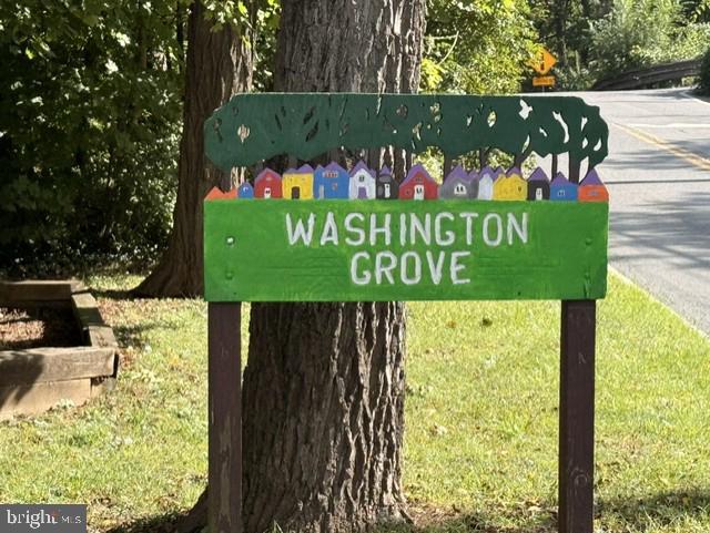 WASHINGTON GROVE