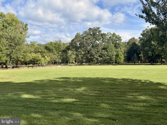 WASHINGTON GROVE