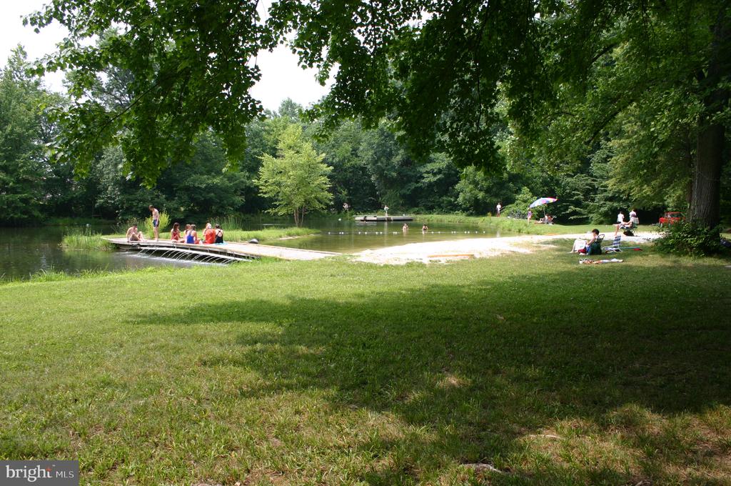 WASHINGTON GROVE