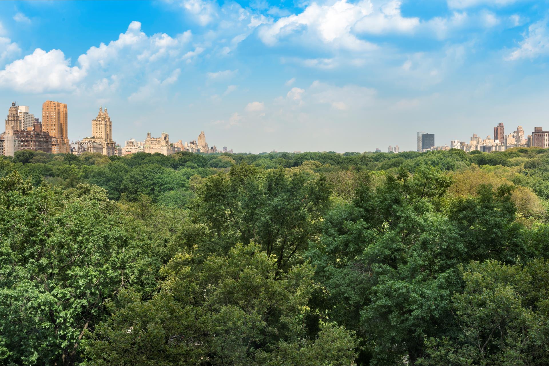 160 CENTRAL Park S 915