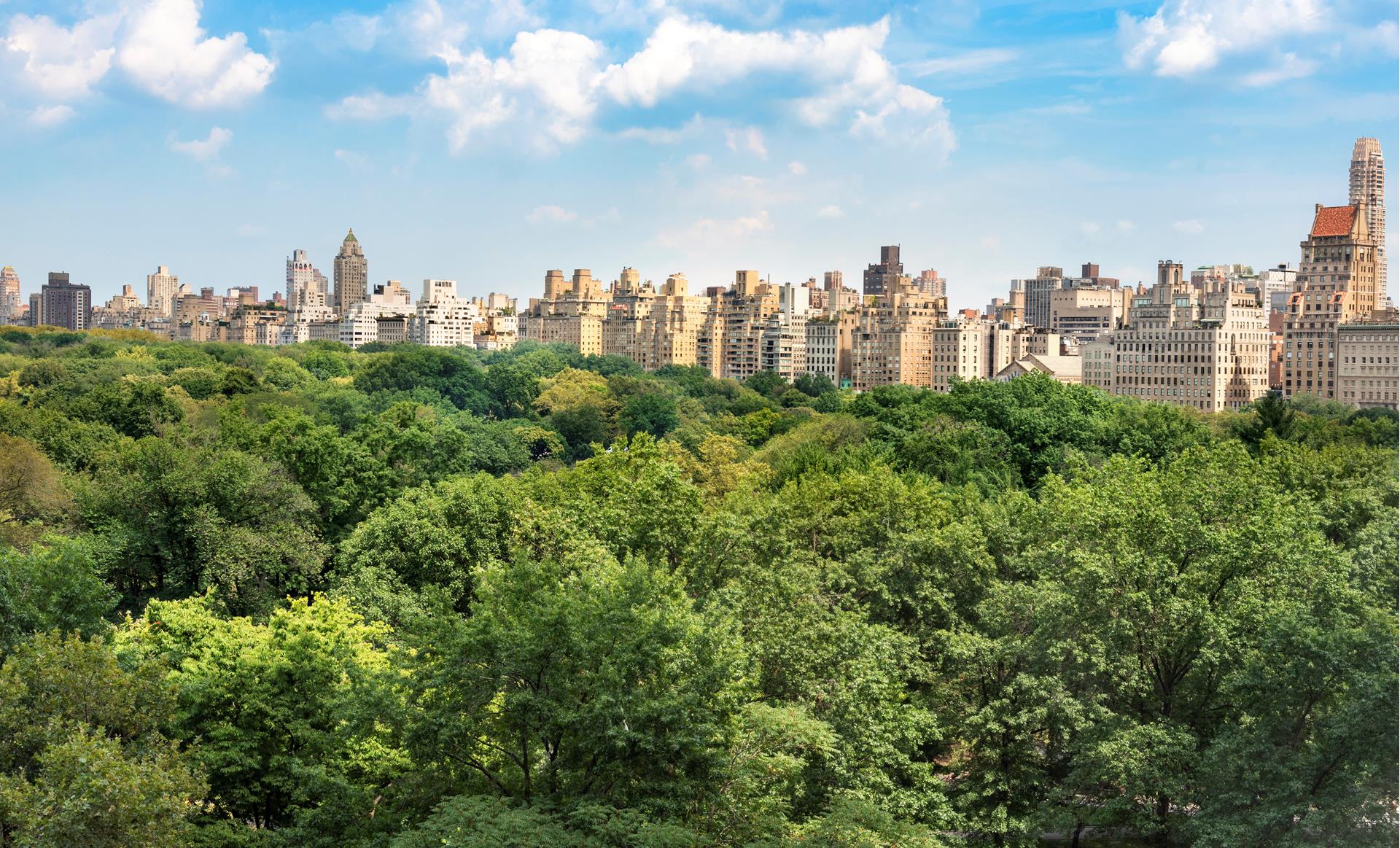 160 CENTRAL Park S 915