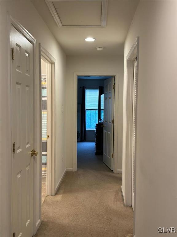 113 Knollwood Drive