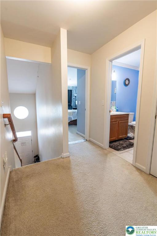 263 Milkweed Drive