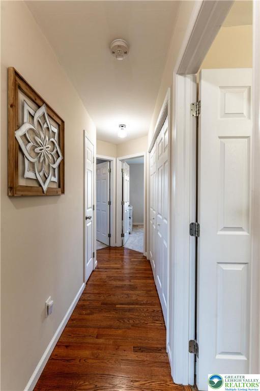 4488 Bellflower Way