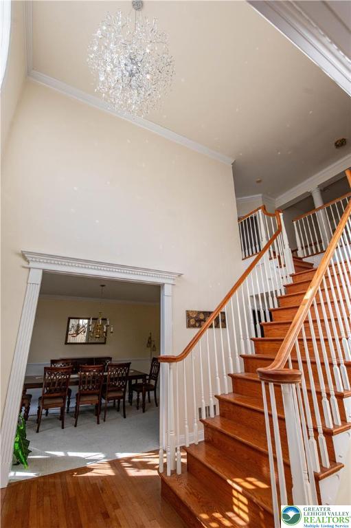 255 Rising Meadow Way