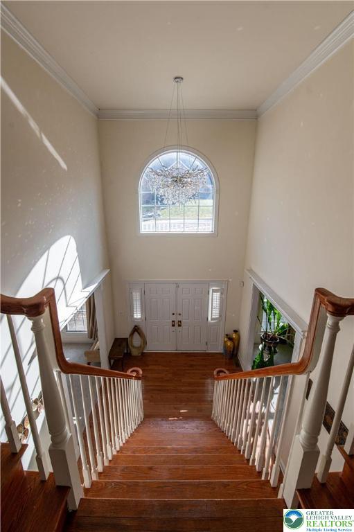 255 Rising Meadow Way