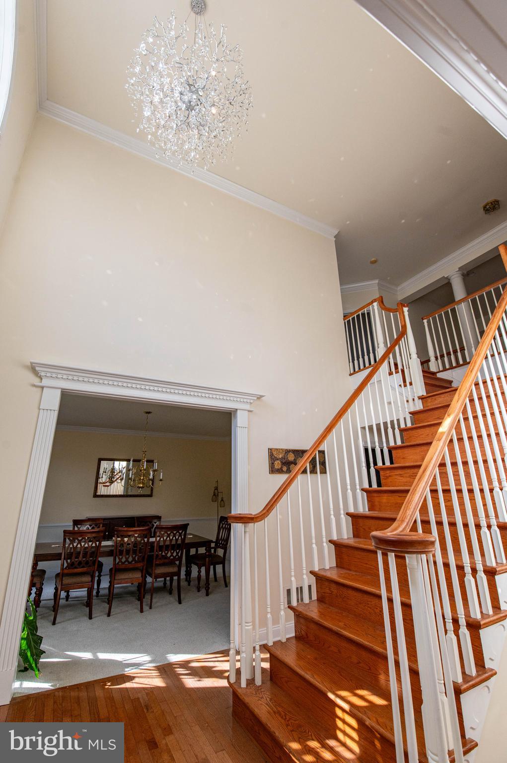 255 RISING MEADOW WAY