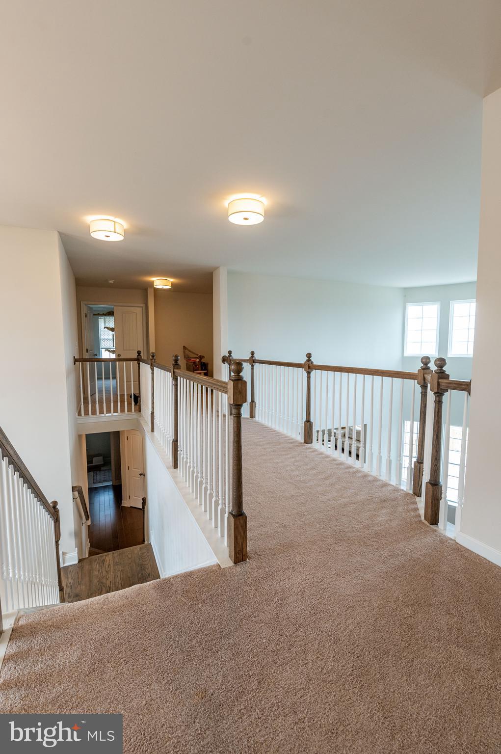 45 Saddle Ln