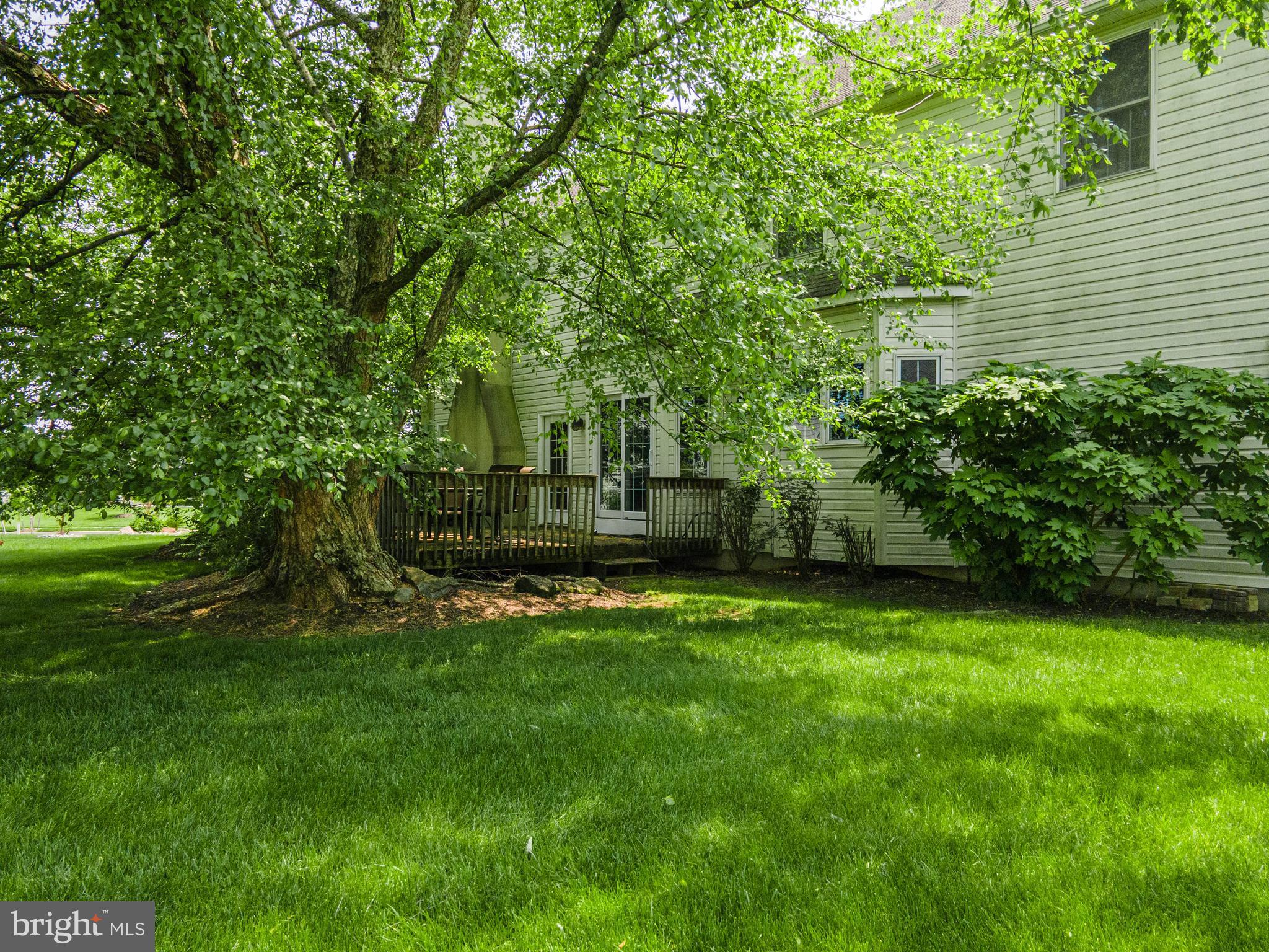 49 Central Dr