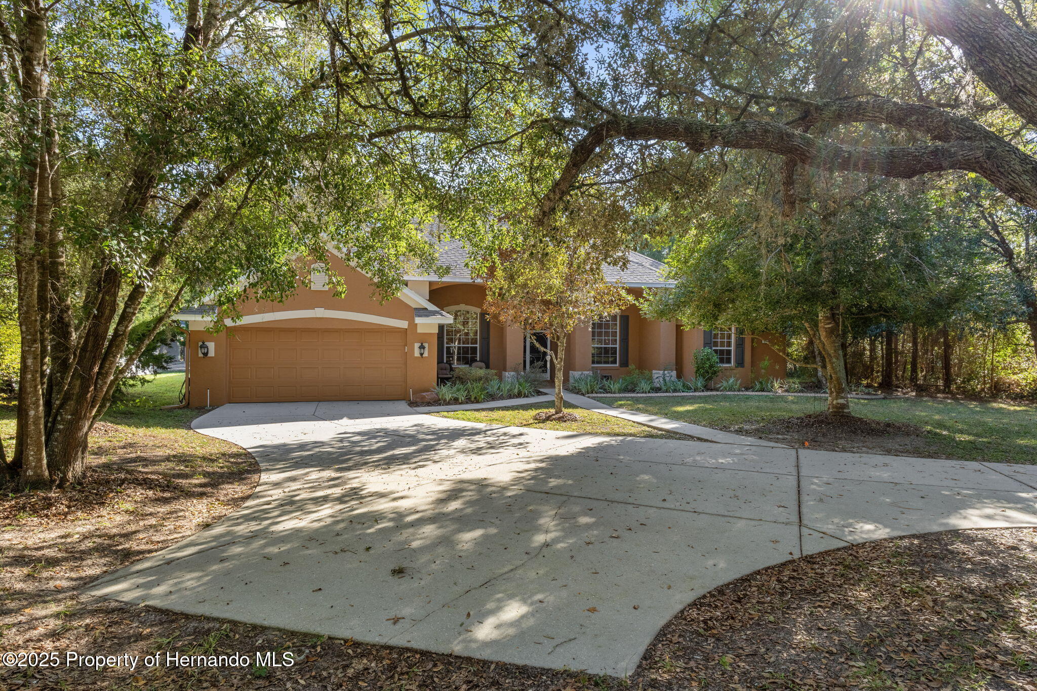 1376 E Cleveland St Street