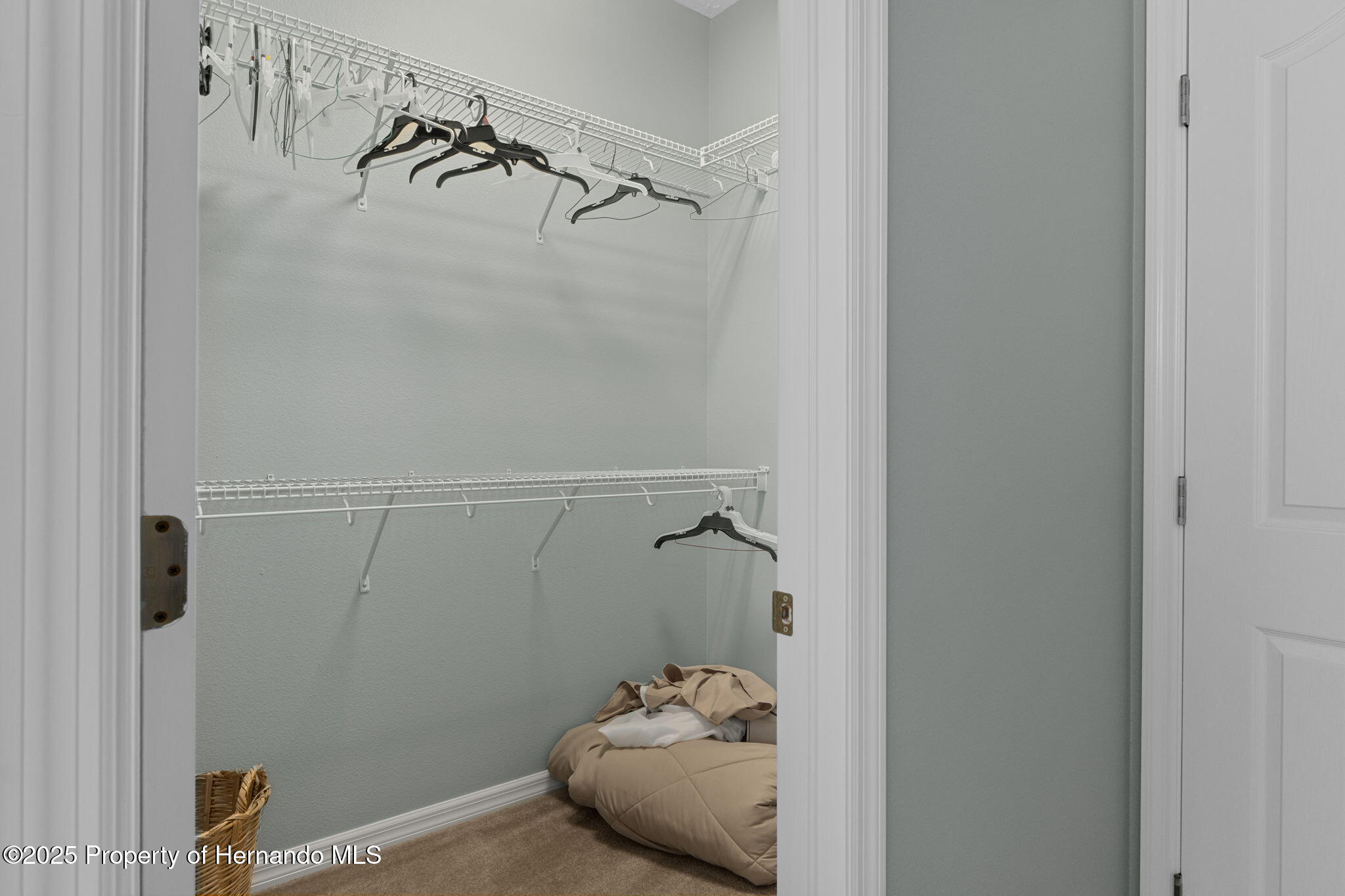 1376 E Cleveland St Street