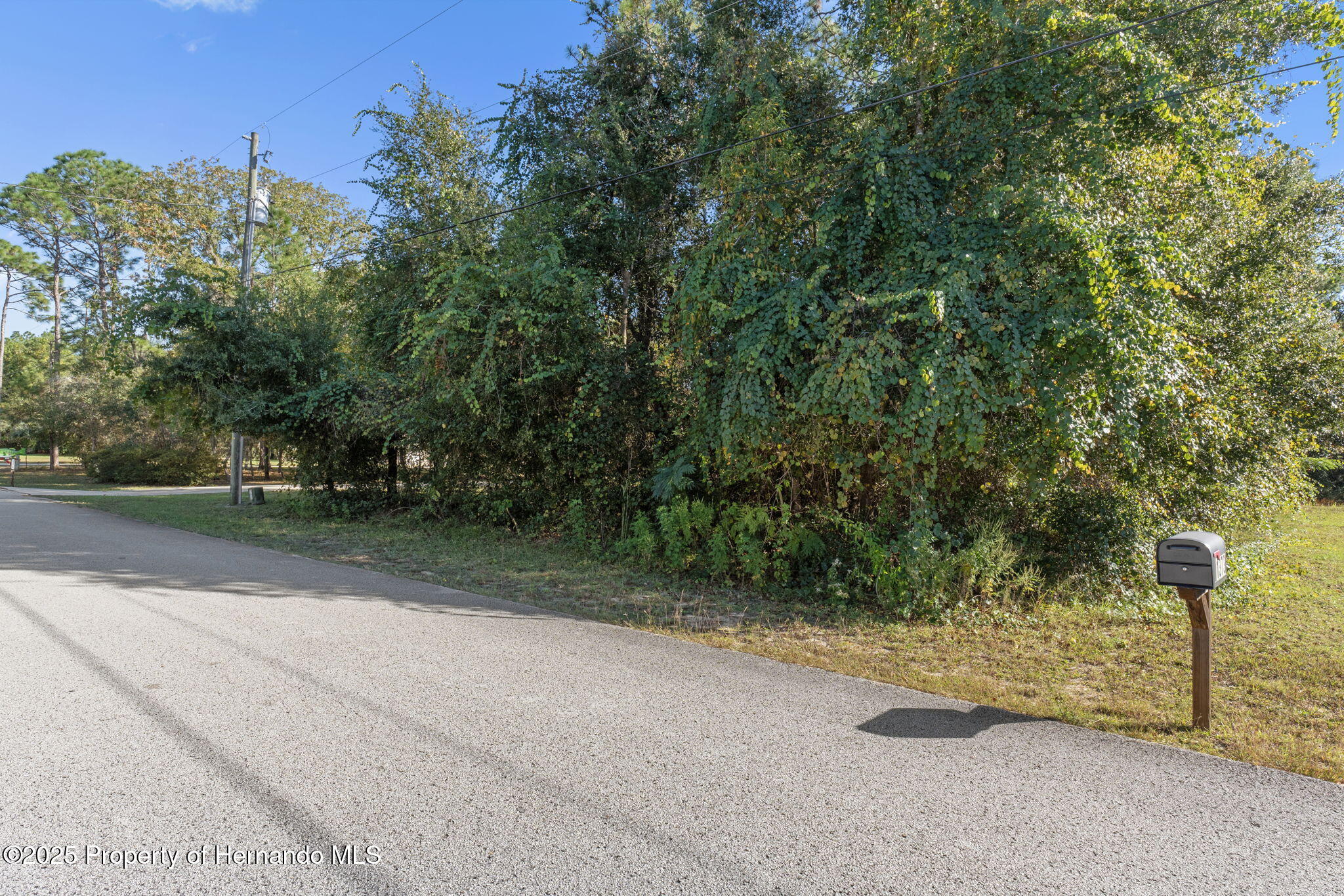 1376 E Cleveland St Street