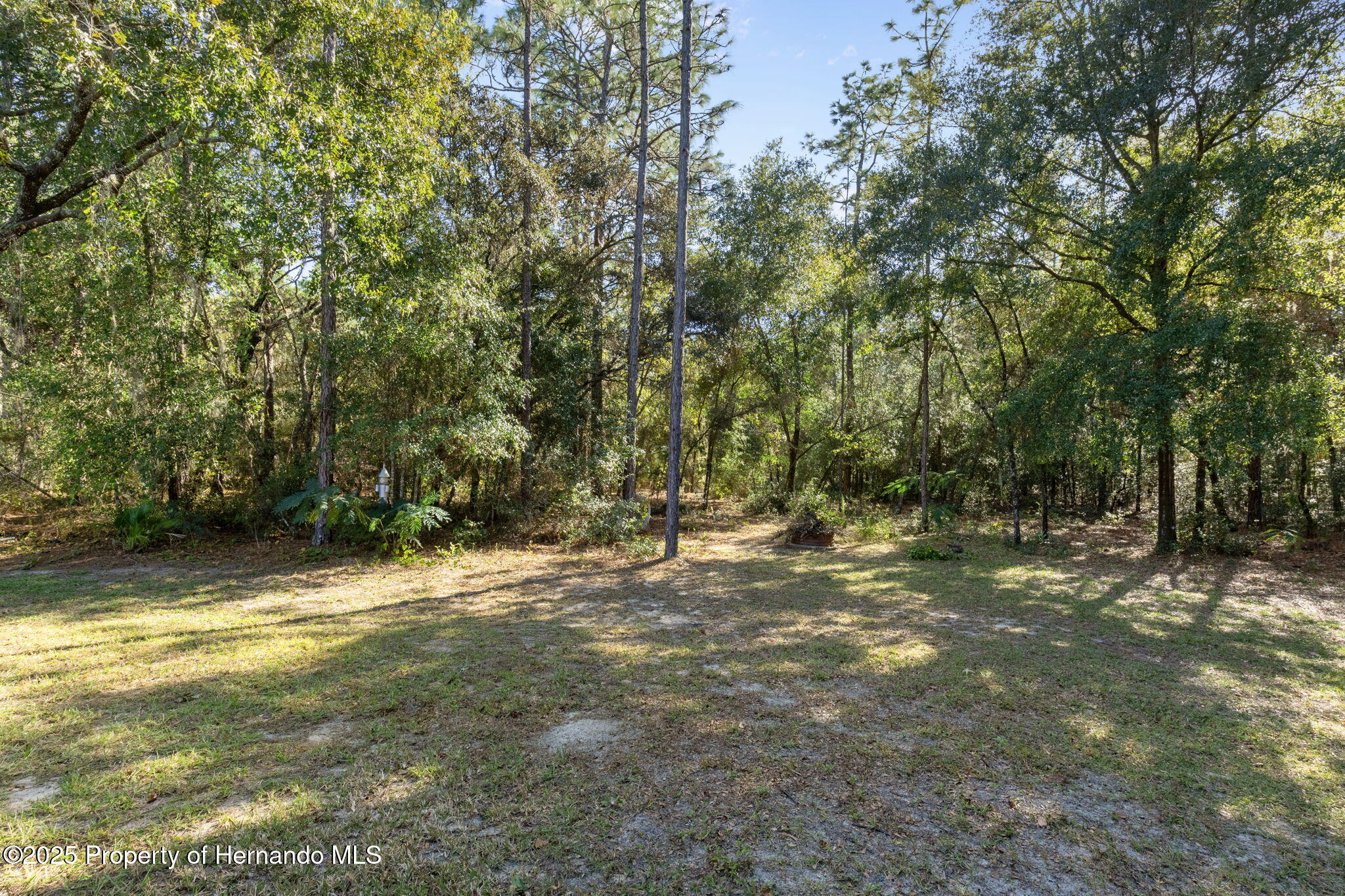 1376 E Cleveland St Street