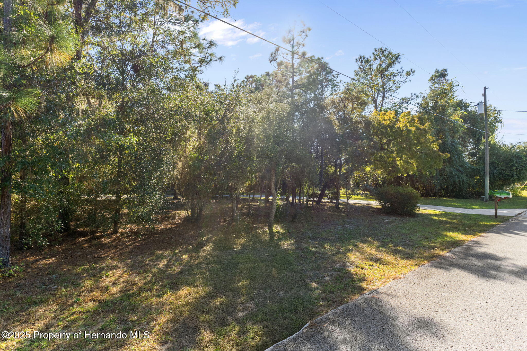 1376 E Cleveland St Street